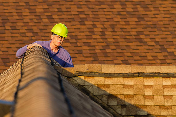 Best Roof Leak Repair  in Stevensville, MD